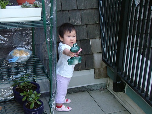 DSCF8125 DSCF8125